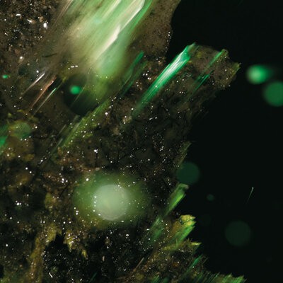 MUS000862414.jpg