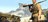 sniperelit409570.jpg
