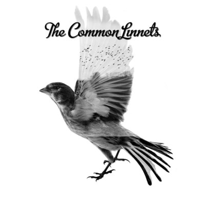 The Common Linnets - The Common Linnets CD Album - Used
