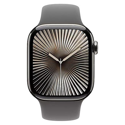 Apple Watch Series 10 GPS + Cellular Natural Titanium 42MM Stone Grey Sport Band view 2
