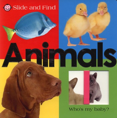 9781843324409.jpg
