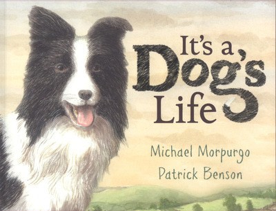 It's a dog's life - Michael Morpurgo - Paperback - Used