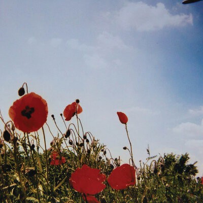 MUS000863202.jpg