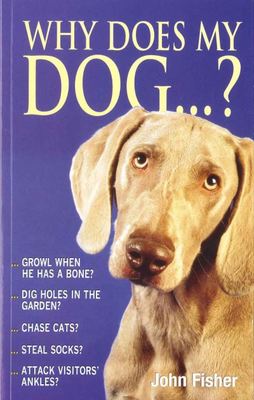 9780285634817.jpg