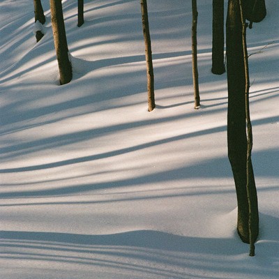MUS000879737.jpg