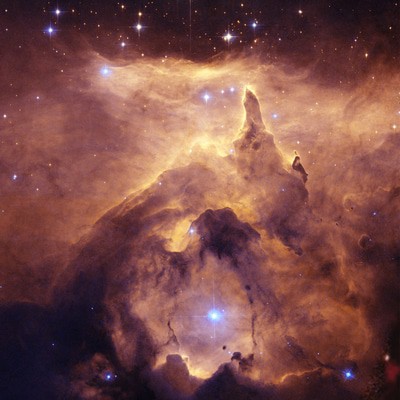 MUS000561891.jpg