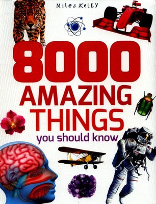 9781786170811.jpg