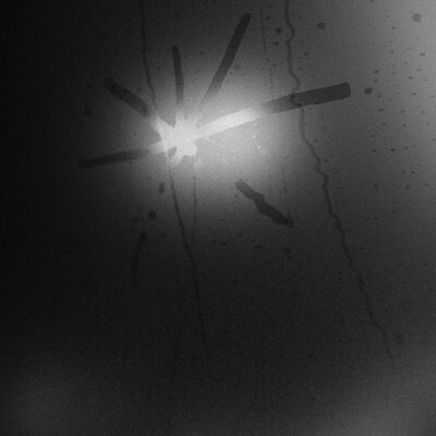 MUS000815518.jpg