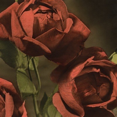 MUS000886522.jpg