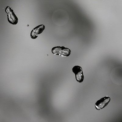 MUS000489984.jpg