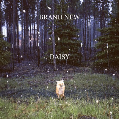Brand New - Daisy CD Album - Used