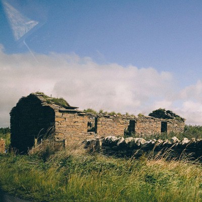 MUS000635217.jpg