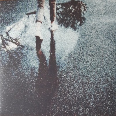 MUS000825669.jpg