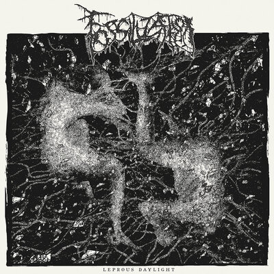 MUS000800787.jpg