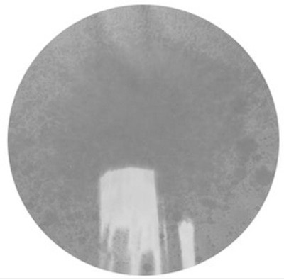 mus000435802.jpg
