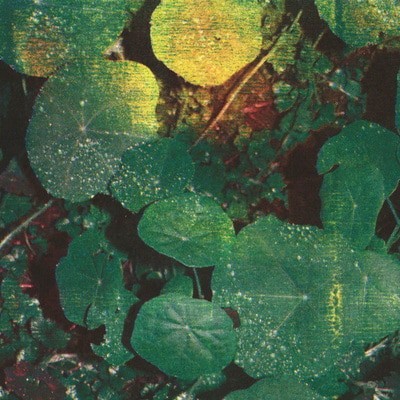 MUS000888484.jpg