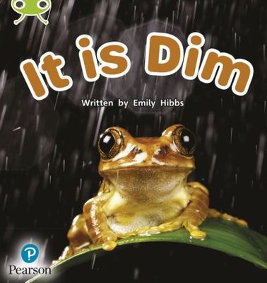 It is dim - Emily Hibbs - Paperback - Used