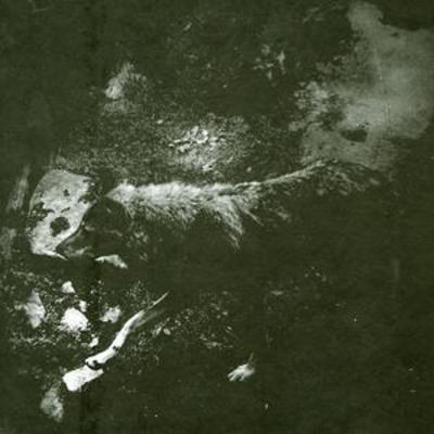 mus000288534.jpg