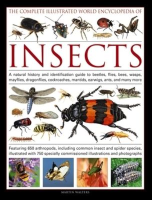 The Complete Illustrated World Encyclopedia of Insects - Martin Walters - Hardback - Used