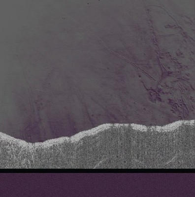mus000402035.jpg
