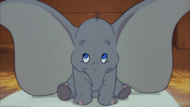 dumbo