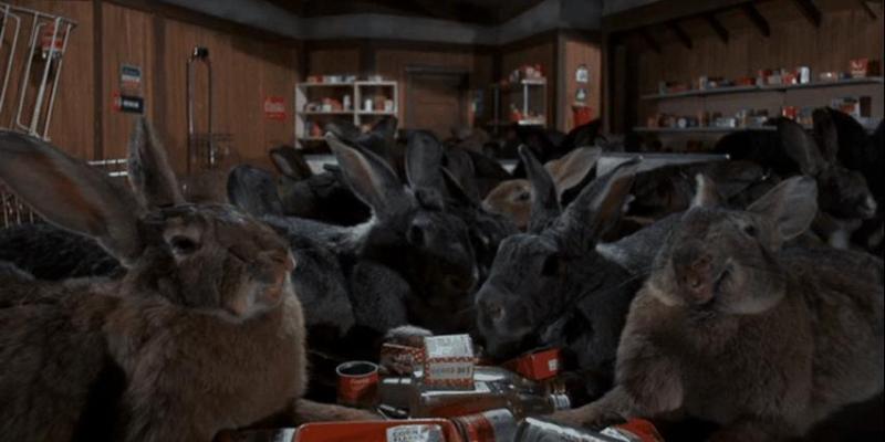 Night of the Lepus